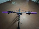IMG_8654.jpeg