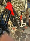 IMG_3672.jpeg
