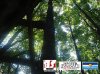 DSC01406 copy.jpg