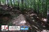 DSC_0017 copy.jpg