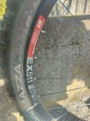 IMG20250404104330.jpg