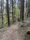 IMG_8075.jpeg
