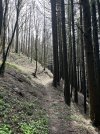 IMG_8080.jpeg