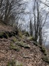 IMG_8097.jpeg