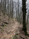 IMG_8094.jpeg