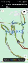 Screenshot_20250428_150900_com_garmin_android_apps_connectmobile_ActivityMapActivi_edit_167307...jpg