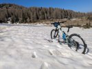 PXL_20250501_075148980.jpg