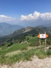 IMG_4204.jpeg