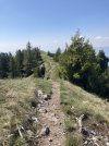 IMG_4201.jpeg