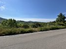 IMG_9212.jpeg