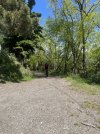 IMG_7654.jpeg