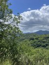 IMG_7657.jpeg