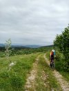 IMG20250515085755.jpg