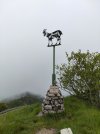 IMG20250524083411.jpg