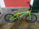 Bmx Scout