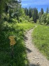 IMG_8257.jpeg