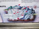 2025_06_01_forcella_clautana_0032.jpg