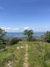 IMG_8272.jpeg
