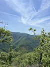 IMG_8273.jpeg
