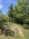 IMG_8274.jpeg