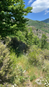 B22F2AB3-1BE7-40C2-A1D9-16AB5A207870.png