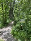 IMG_8298.jpeg