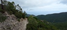 IMG_20250601_113031.jpg