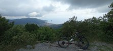 IMG_20250601_103319.jpg