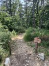 IMG_8310.jpeg