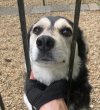 IMG_1207.jpeg