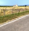 IMG_5892.jpeg