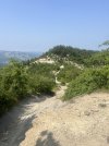 IMG_8343.jpeg