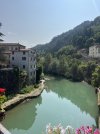 IMG_8350.jpeg