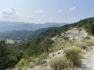 IMG_8348.jpeg