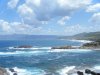 sardegna giugno 2009 089.jpg