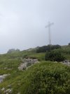 PXL_20250621_073645408.jpg