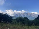 IMG_4558.jpeg