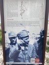 IMG_4622.jpeg