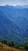 IMG_20250704_110035.jpg