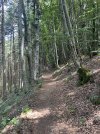 IMG_8471.jpeg