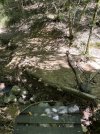 IMG_8460.jpeg