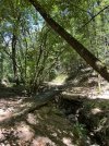 IMG_8458.jpeg