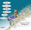 freni a margherita.jpg