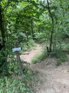 IMG_8485.jpeg