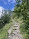 IMG_8490.jpeg