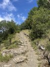 IMG_8491.jpeg