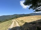 IMG_8493.jpeg