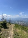 IMG_8498.jpeg