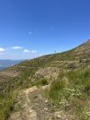 IMG_8501.jpeg