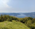IMG_20250719_150211.jpg